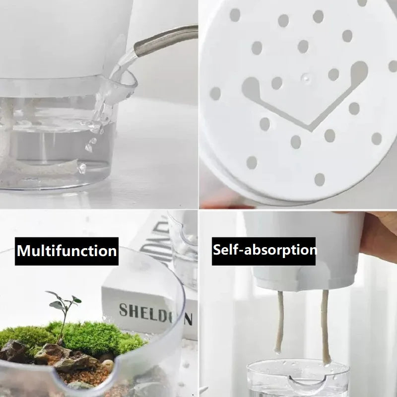 Pot de fleurs auto-arrosant en plastique transparent