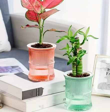 Mini pot auto-arrosant transparents colorés