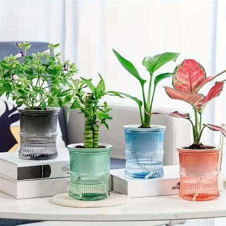 Mini pot auto-arrosant transparents colorés