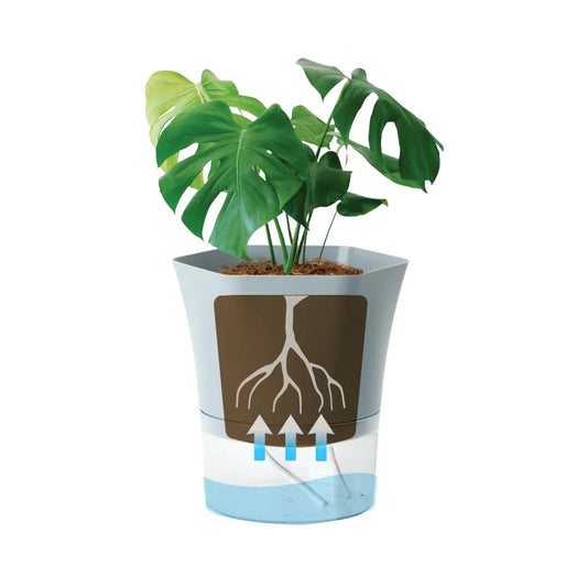 Pot de fleurs auto-arrosant en plastique transparent