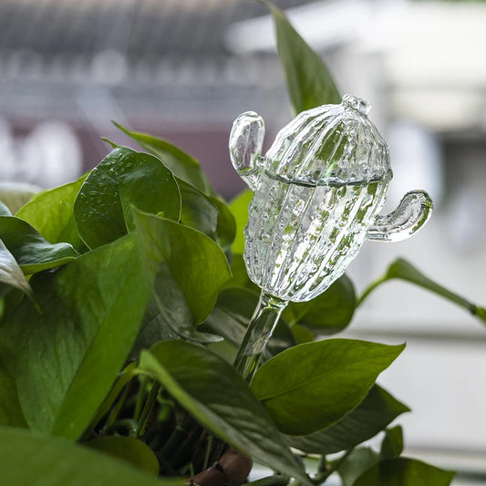 Cactus ou Ananas Champignon Arroseurs Autonomes en Verre