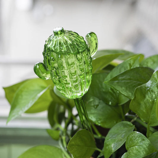 Cactus ou Ananas Champignon Arroseurs Autonomes en Verre