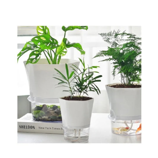 Pot de fleurs auto-arrosant en plastique transparent